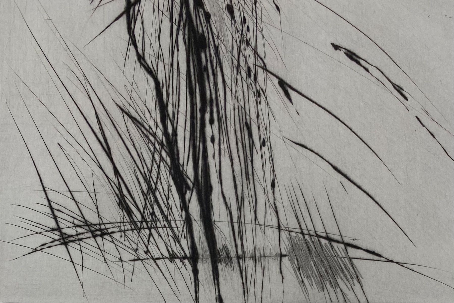 Grafica & Litografie: Rolf Iseli - Lithographie – Usato da Basel venduto da bigmbh 2