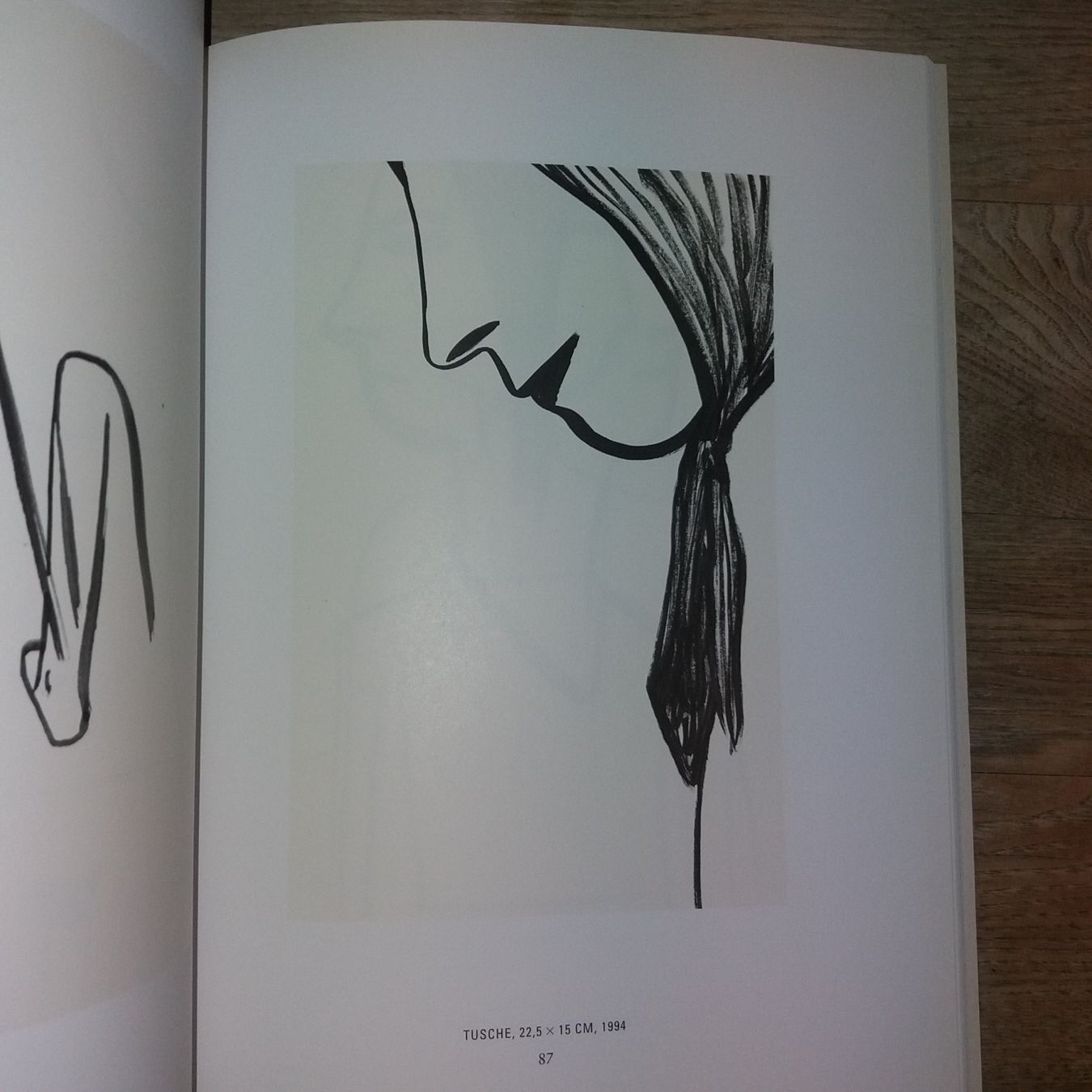 Libri: KUNSTKLASSIK   Silvia Bächli   rares buch – Usato da Welschenrohr venduto da Regool 6