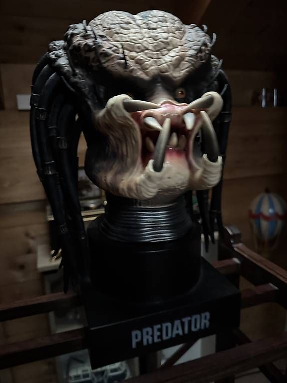 Statuette: Predator Lifesize Büste ? mit Maske / Helm ? Sammlerstück – Usato da Möriken AG venduto da nma_2hx5 1
