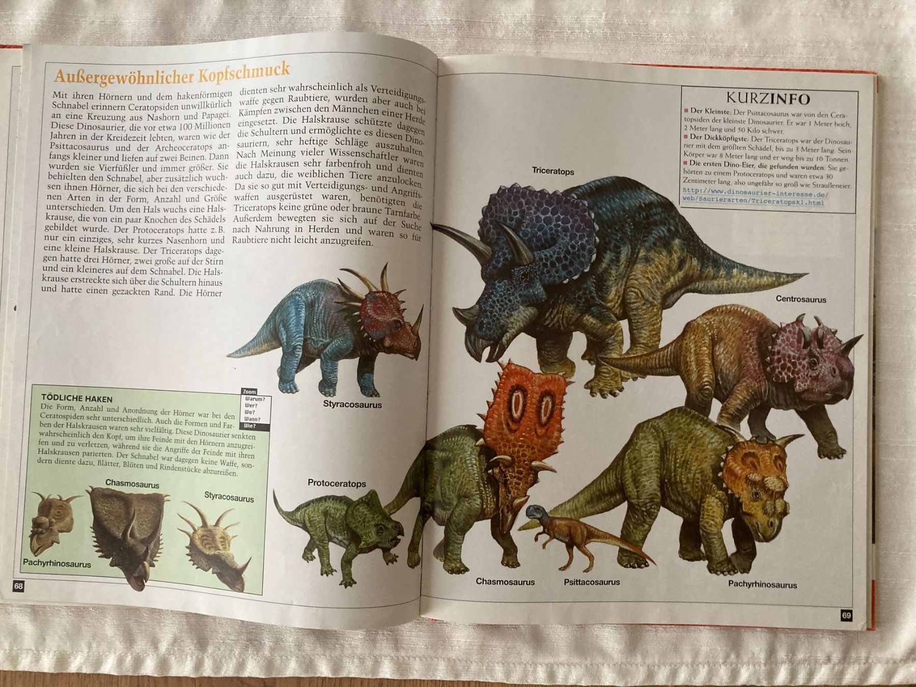 Libri: ***   Dinosaurierbuch   ***    Neuwertig   *** – Nuovo (secondo la descrizione) da Niederuzwil venduto da LaBambola 4