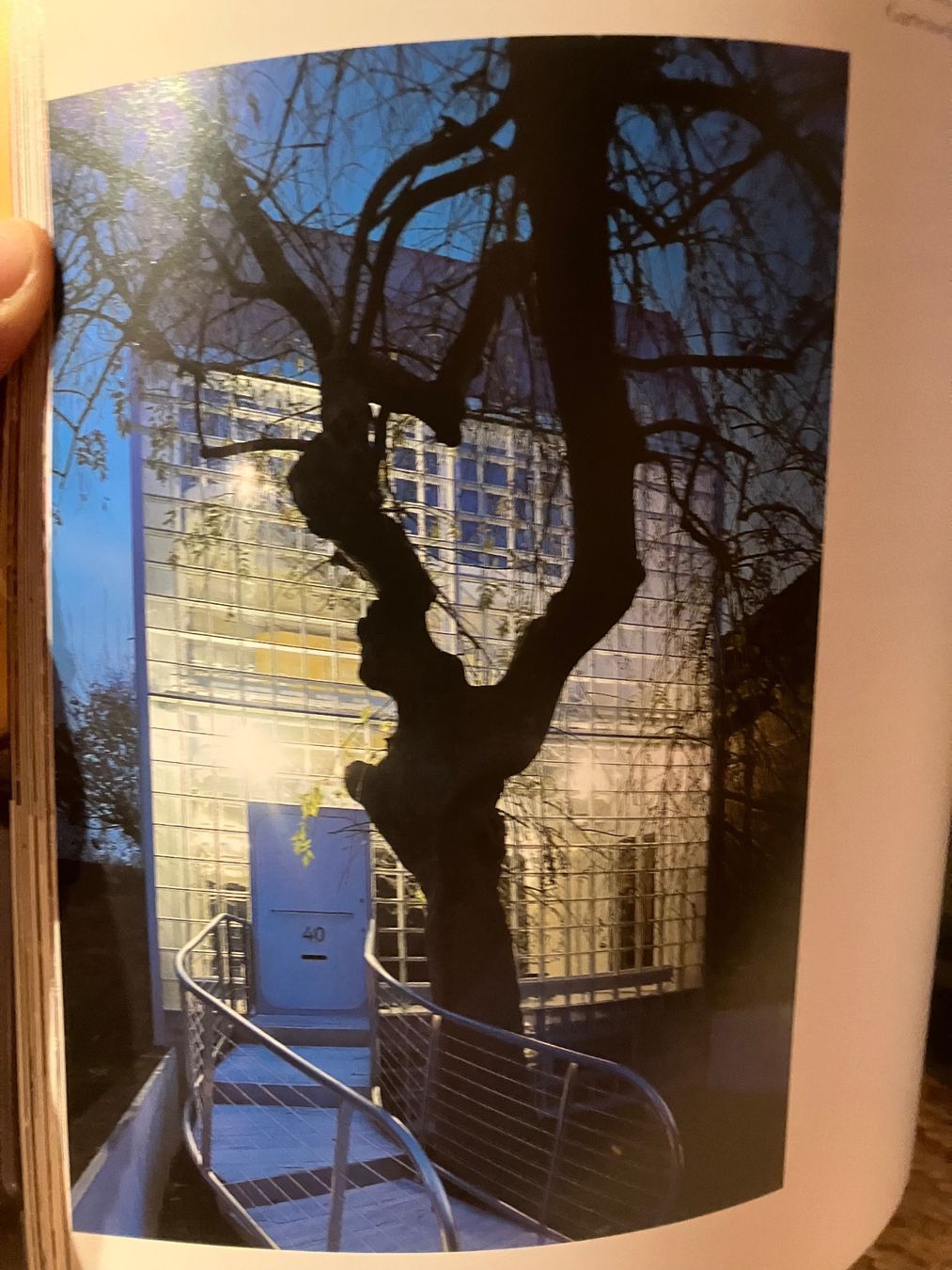 Bücher: Bildband Living in London – Gebraucht aus Zürich von Byron 2