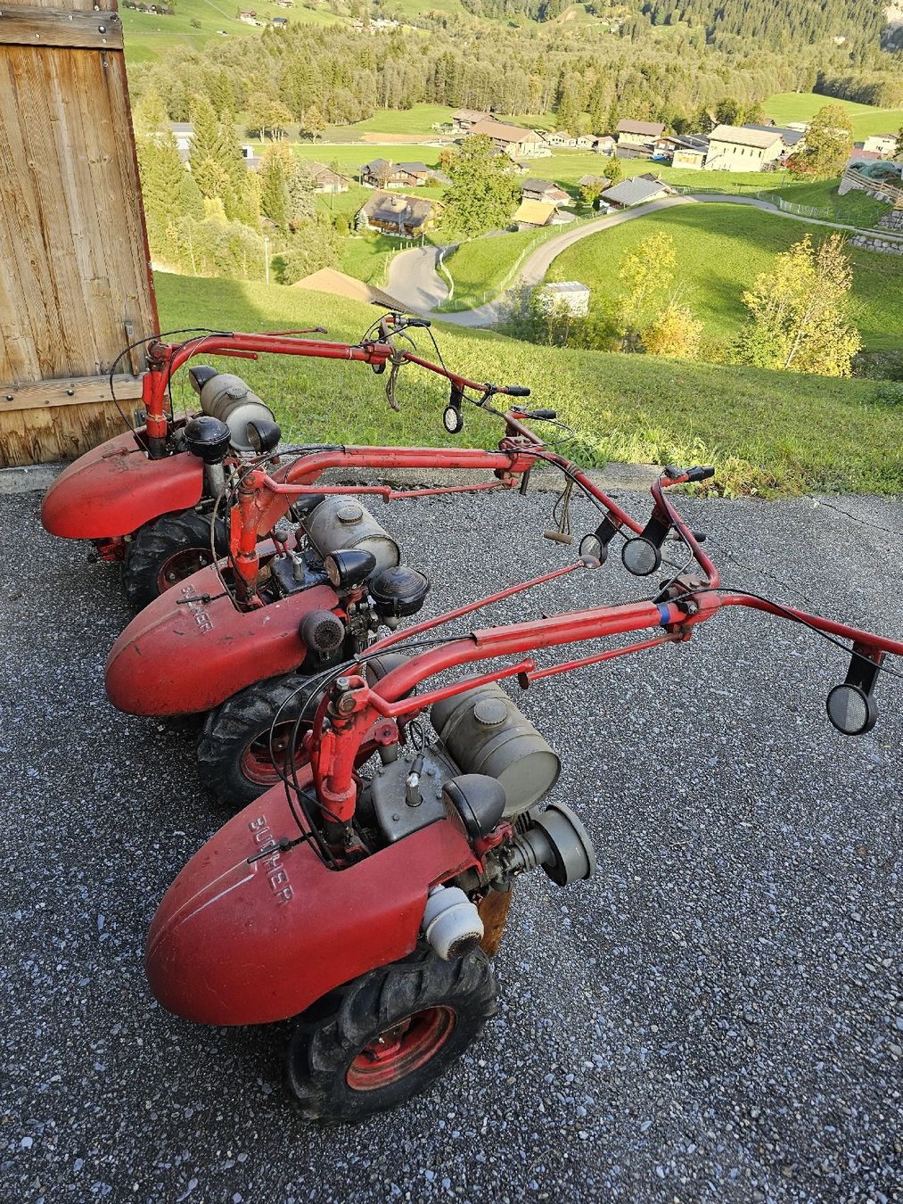 Bucher Alle Maschinen: Motormäher Bucher – Gebraucht aus Grindelwald von tho_gwald
