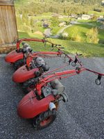 Motormäher Bucher