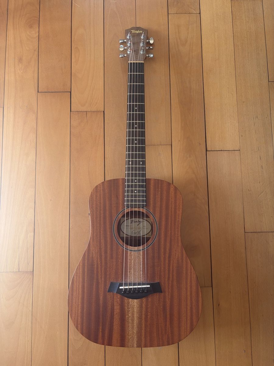 Taylor Strumenti musicali: Taylor BT2e – Usato da Zürich venduto da mw_777