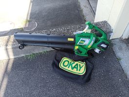 Landi Laubbläser