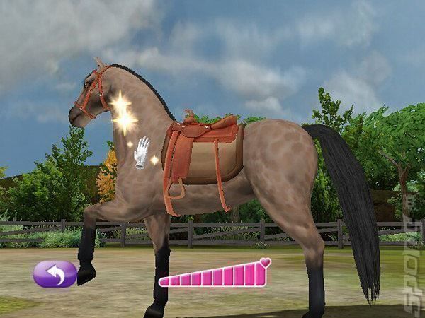 Nintendo Giochi: Ponie Freunds Shetland Ponys DS – Usato da Schüpfheim venduto da Games_Spielkonsolen 5