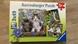 Ravensburger Puzzle 3x49 Katzen