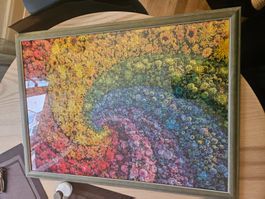 Clementoni Regebogen Blumen Puzzle 1000 STK 50x70cm