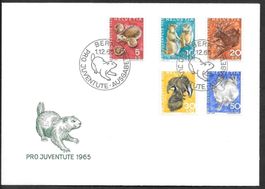 FDC Pro Juventute Serie 1965 ET Bern 1.12.1965 Hans Erni