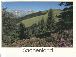 Saanenland 1994