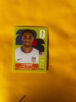 USA 8 Tyler Adams Panini WM 2026 Sticker