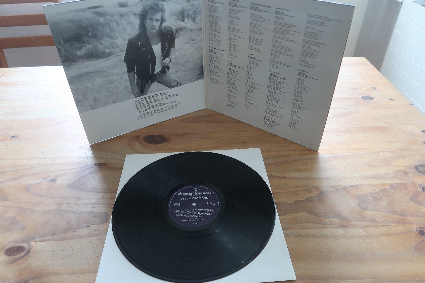 Dischi in vinile: STEVE THOMSON - ST - CH MELODIC HARD ROCK - VINYL LP – Usato da Basel venduto da Patiscat 4