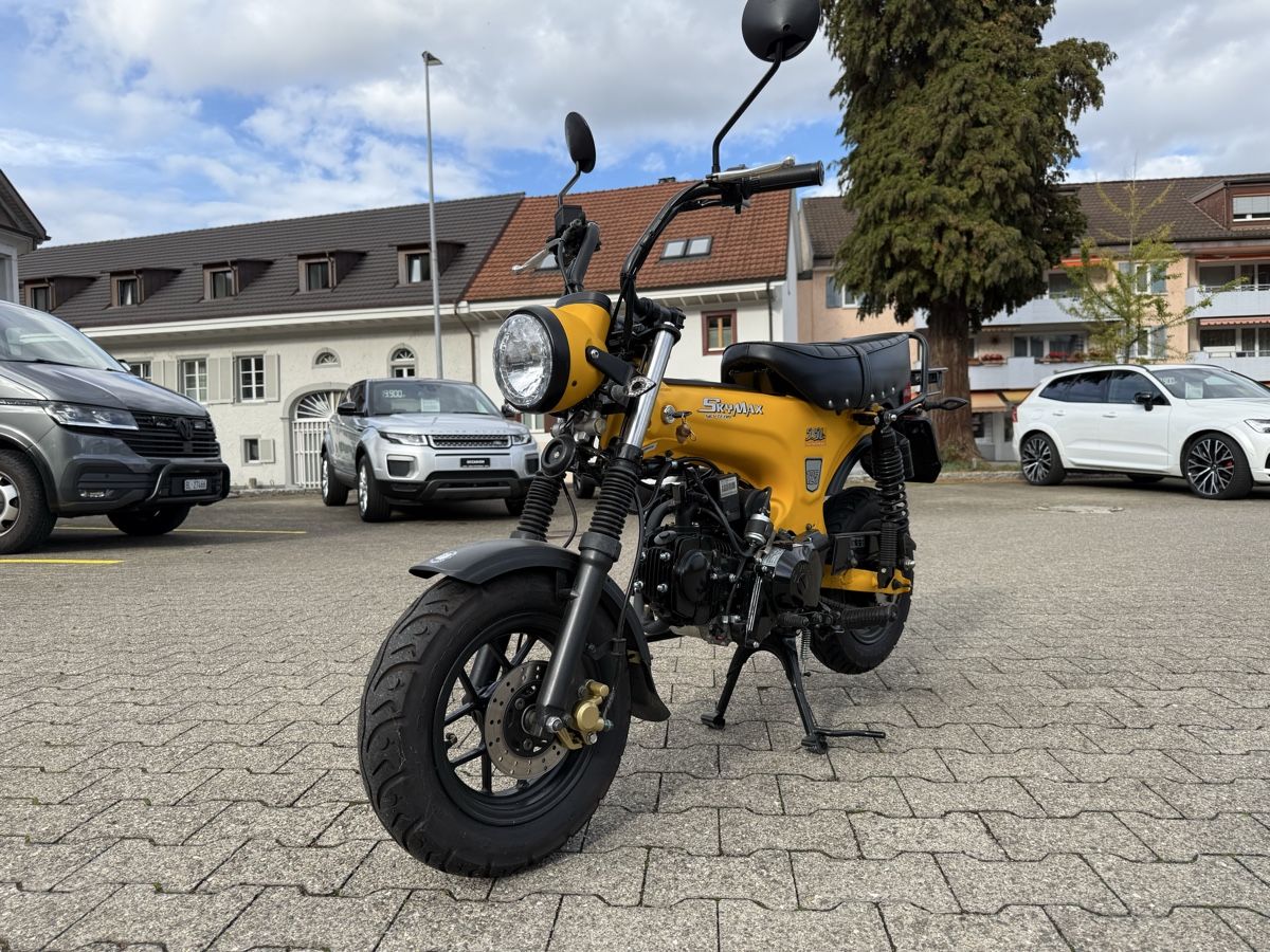 Skyteam Strada: Skyteam Skymax 125 – Usato da Schupfart venduto da Hooger65 1