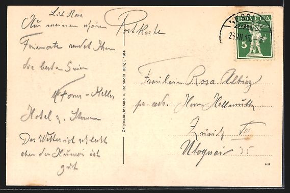 Cartes postales: AK Nesslau, Totalansicht, 1915 – D'occasion à Berlin par bartko-reher 1