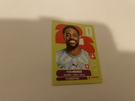 FIFA WM 2026 Yvon Mvogo SUI 3