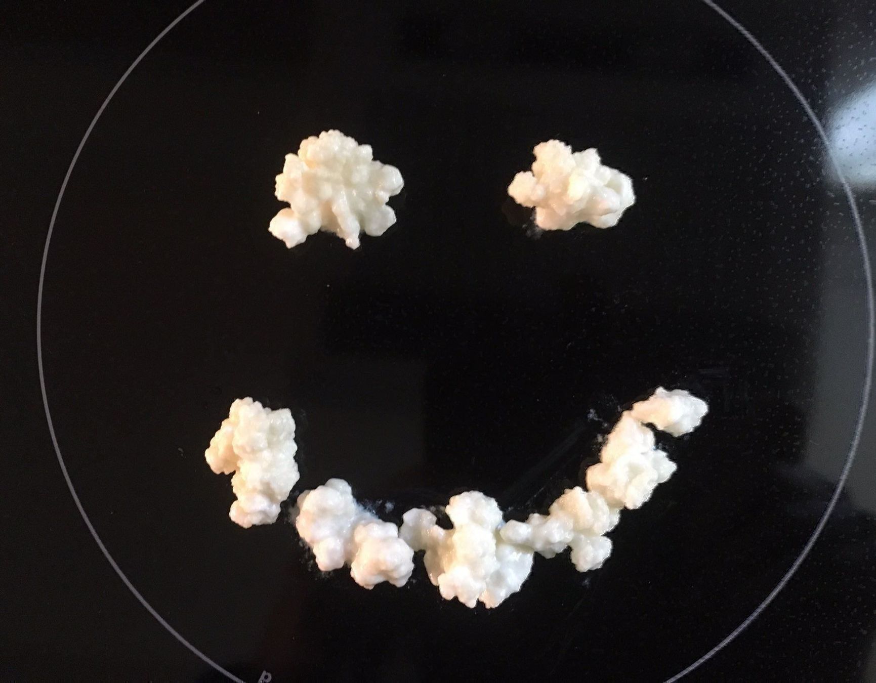 Cibi & Specialità: Kefir, Milchkefir (Bio) – Nuovo (secondo la descrizione) da Wattwil venduto da Radical3