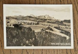 Walde 1938