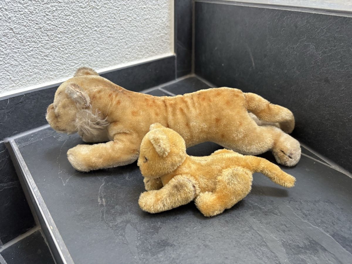 Giocattoli: Plüschtier Löwenfamilie alt – Usato da Balsthal venduto da AGUARDA 2