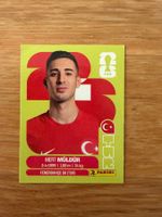Panini TUR 3 Müldür