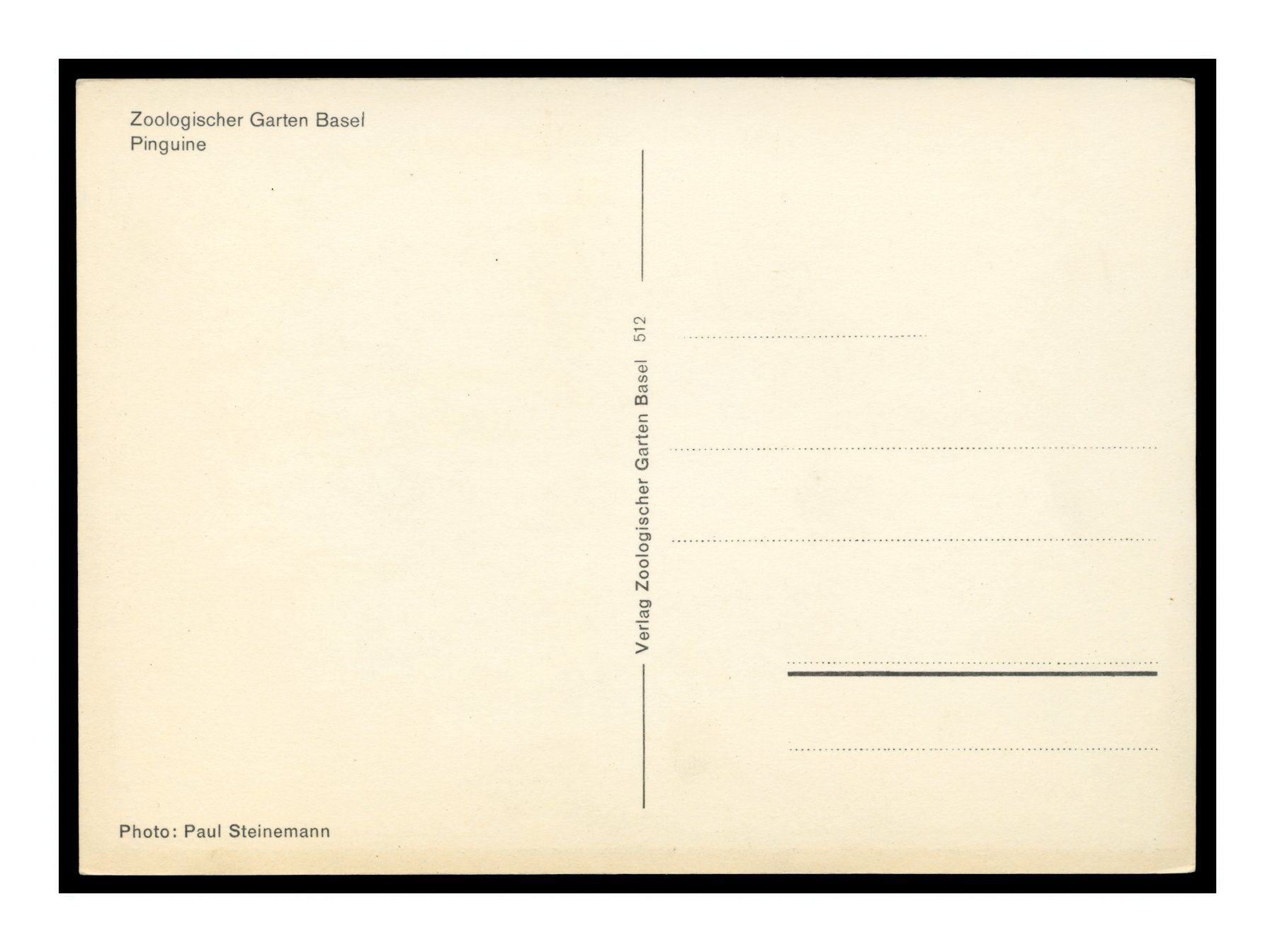 Cartoline postali: MANCHOTS ROYAUX - 1960 "Zoo de Bâle" – Usato da Onex venduto da Lagorel01 1