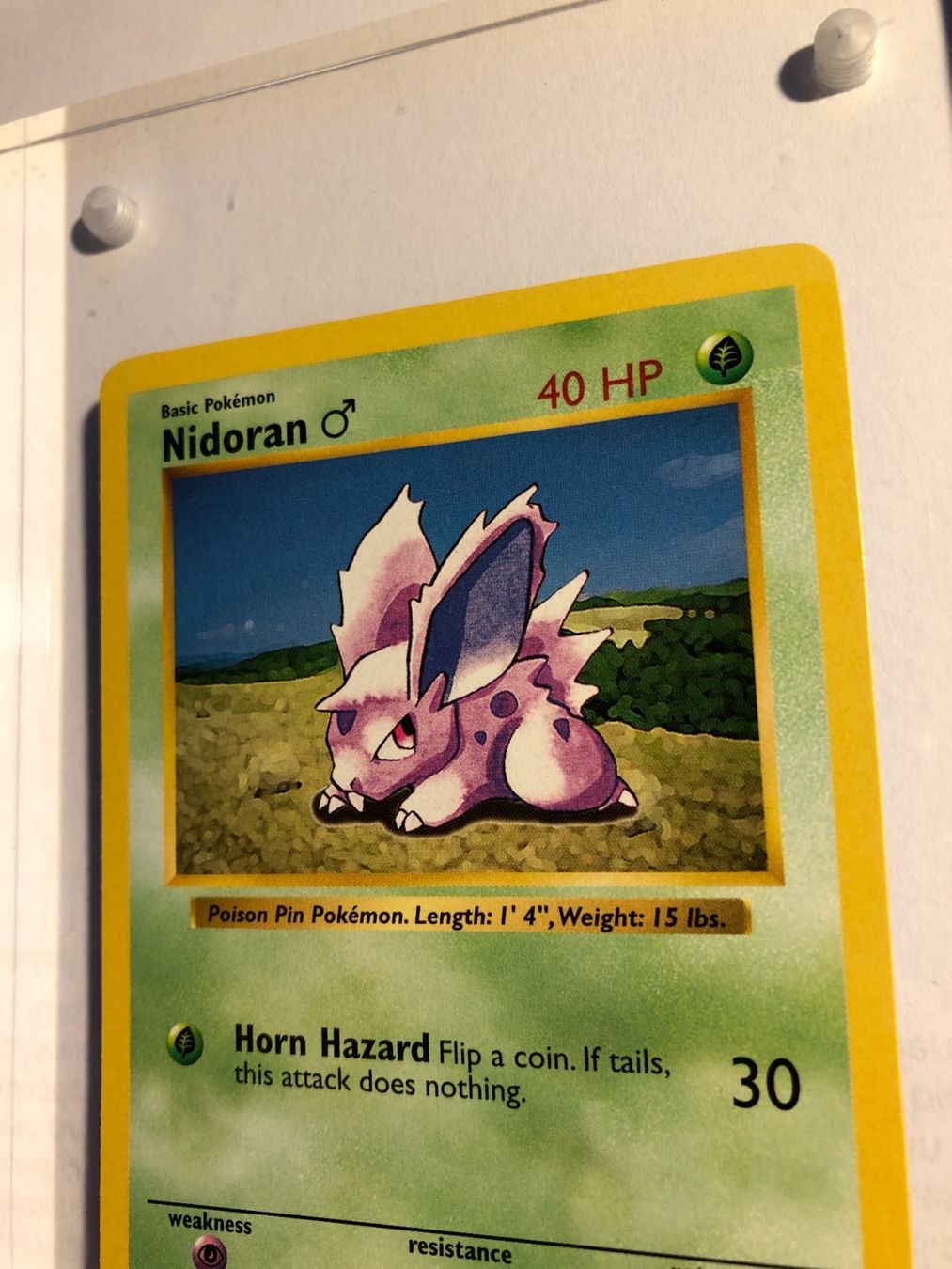 Sammelbilder & Trading cards: Nidoran Base Set Shadowless - MINT - ab 1.- – Gebraucht aus Giubiasco von dan_pr8b 3