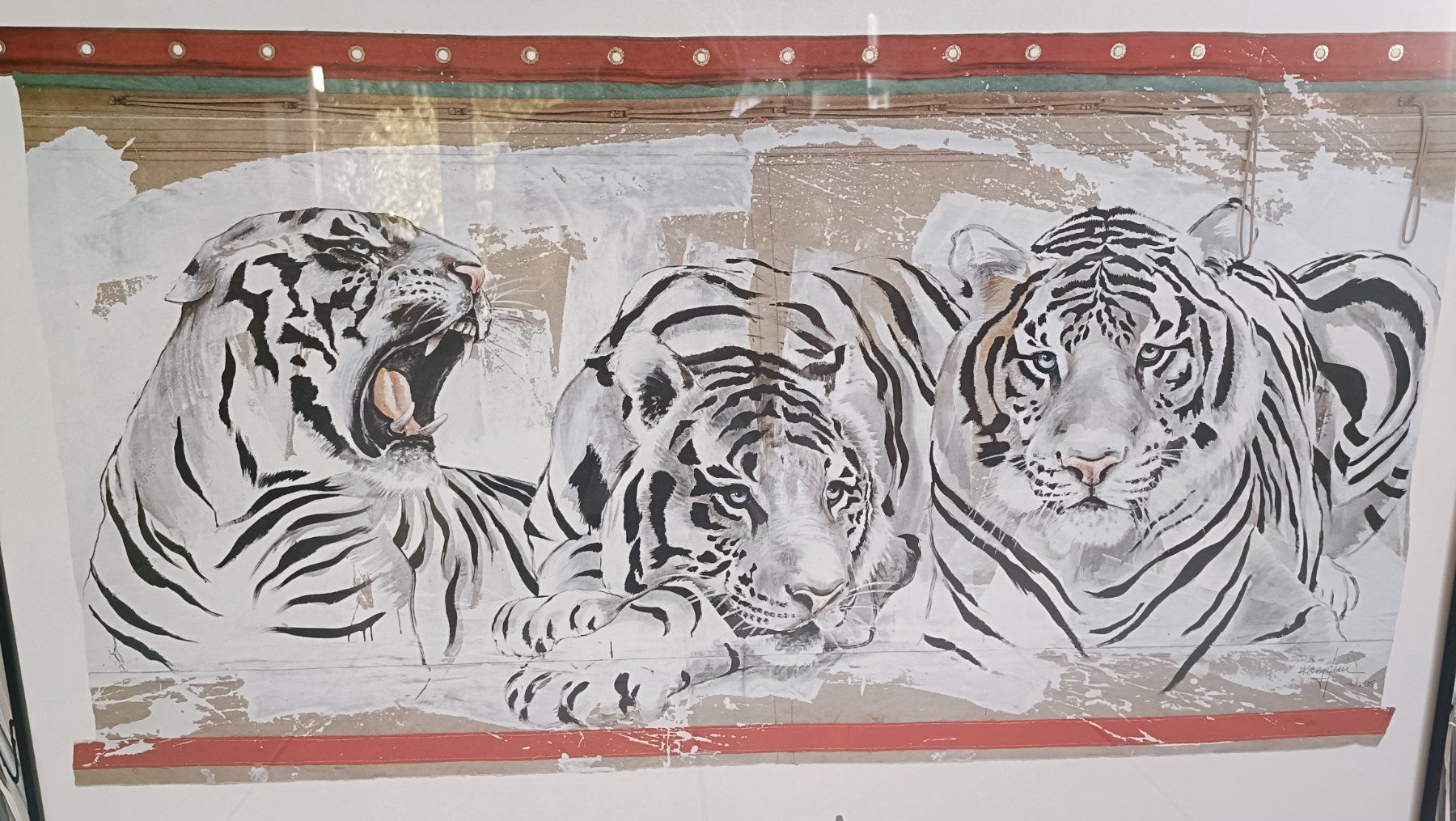 Foto & Immagini: Rolf Knie Bild "White tiger" – Usato da Hinwil venduto da Anlija 1