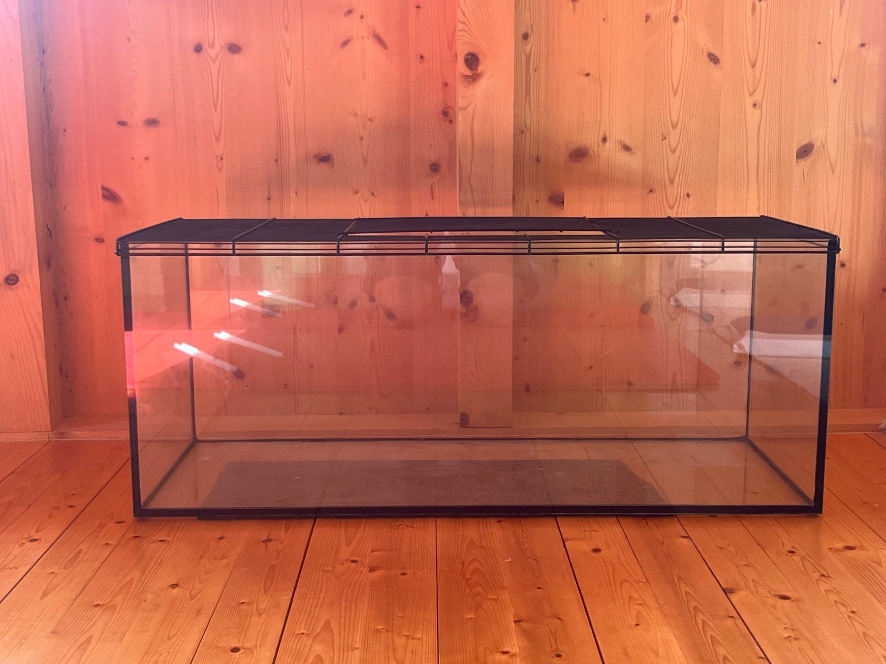 Terrario: Terrarium – Usato da Haldenstein venduto da Lusa1942