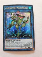 Yugioh Gerätewesen Waagenkappa TCG Karte