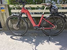 Flyer E-Bike | Schweizer Premium Qualität | Top Zustand