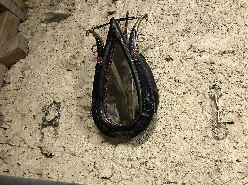 Specchi: Miroir, Collier pour cheval – Usato da Neuchâtel venduto da gremsetfun 2