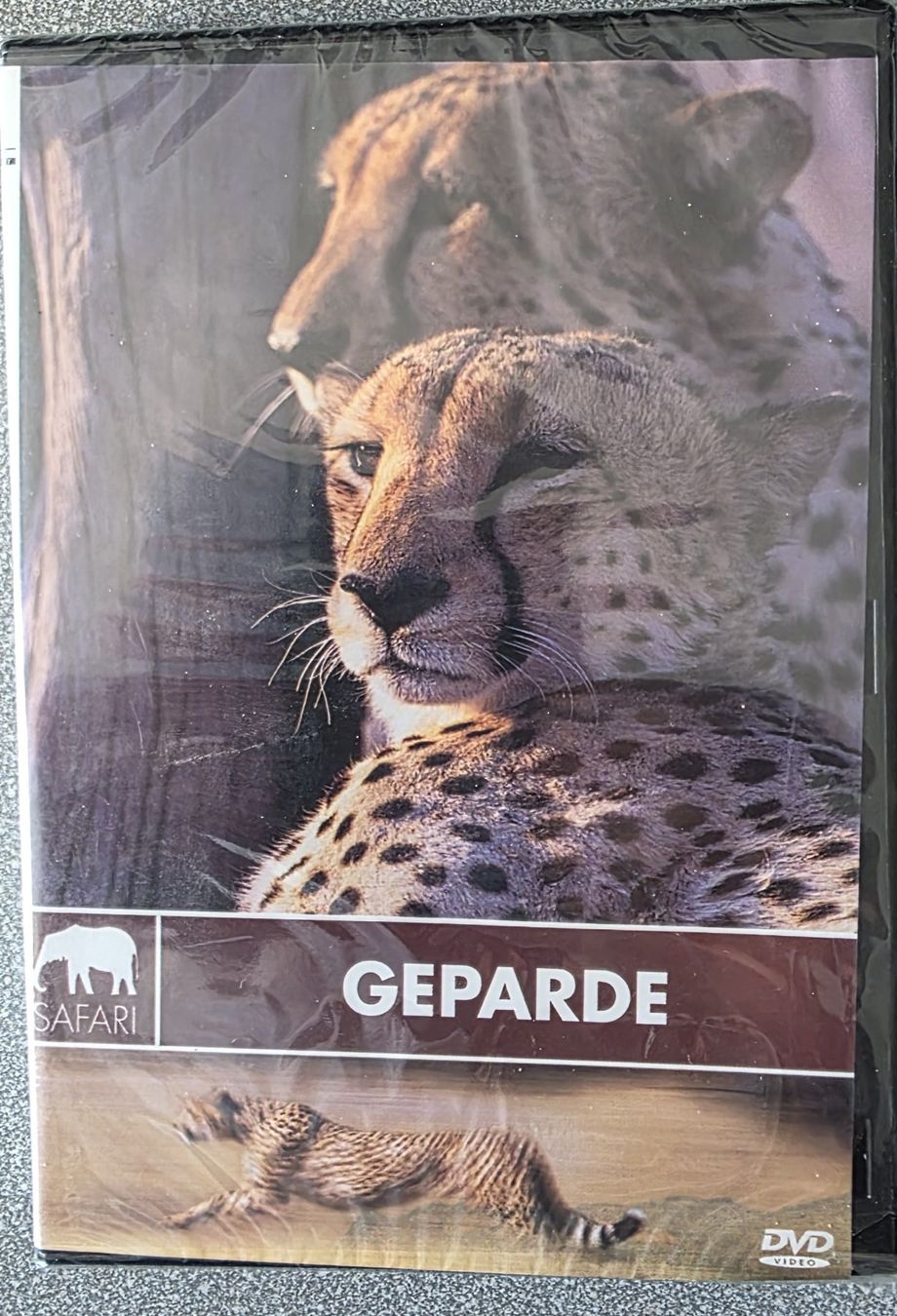 Tutti i DVDs: DVD Geparde - NEU UND ORIGINAL VERPACKT – Nuovo e nell'imballaggio originale da Oetwil am See venduto da fineli2