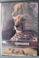 DVD Geparde - NEU UND ORIGINAL VERPACKT