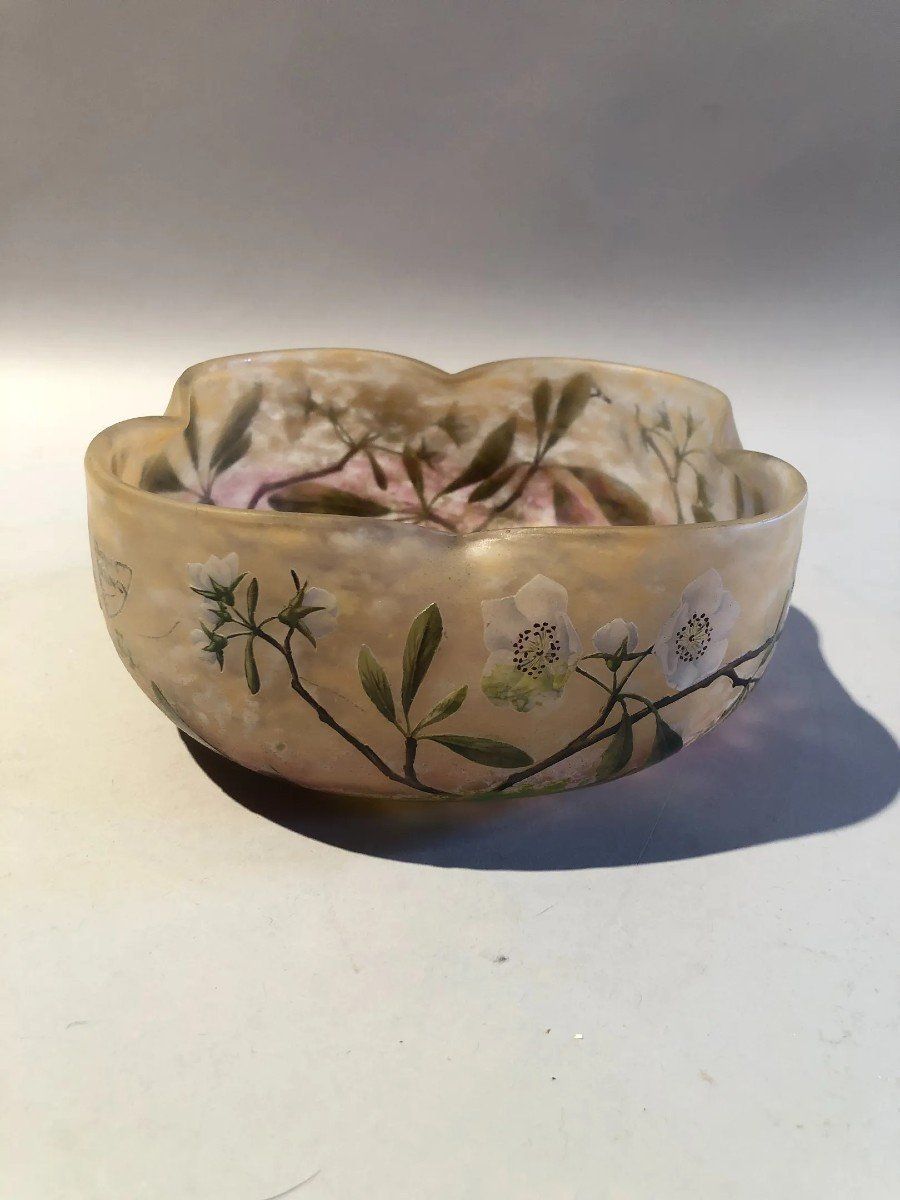 Daum Bicchieri: Daum Nancy Coupe Quadrilobée "Fleurs De Pommier " – Usato da Zürich venduto da golden48 4