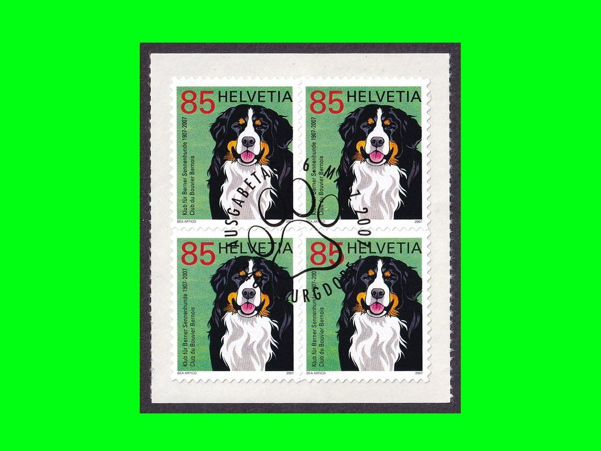 Tous les timbres: Viererblock "Klub der Bernhardiner" (2007) – Neuf (Voir description) à Dübendorf par chiara48