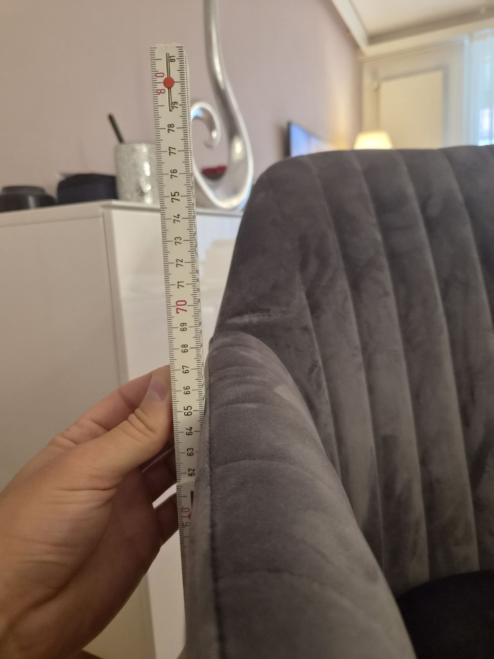 Poltrone: Sessel Samt grau neuwertig 6x – Nuovo (secondo la descrizione) da Zürich venduto da Metin_48 3