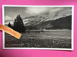 1933 Nr. 11 Lenzerheide - See mit Churer-Jochkette