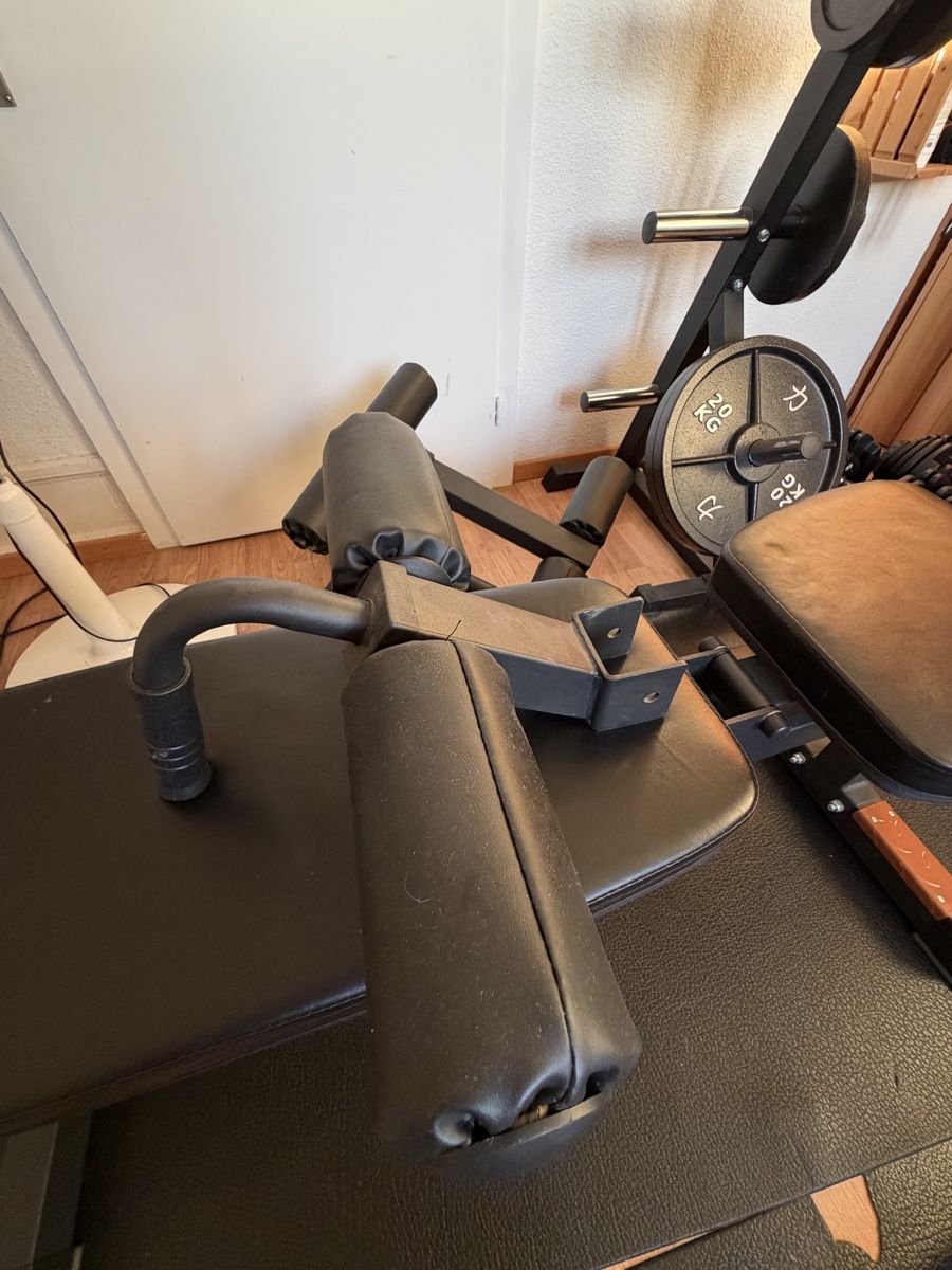Vélos d'appartement: Brute Force - Hantelbank – D'occasion à Zürich par eli_gc5x 2