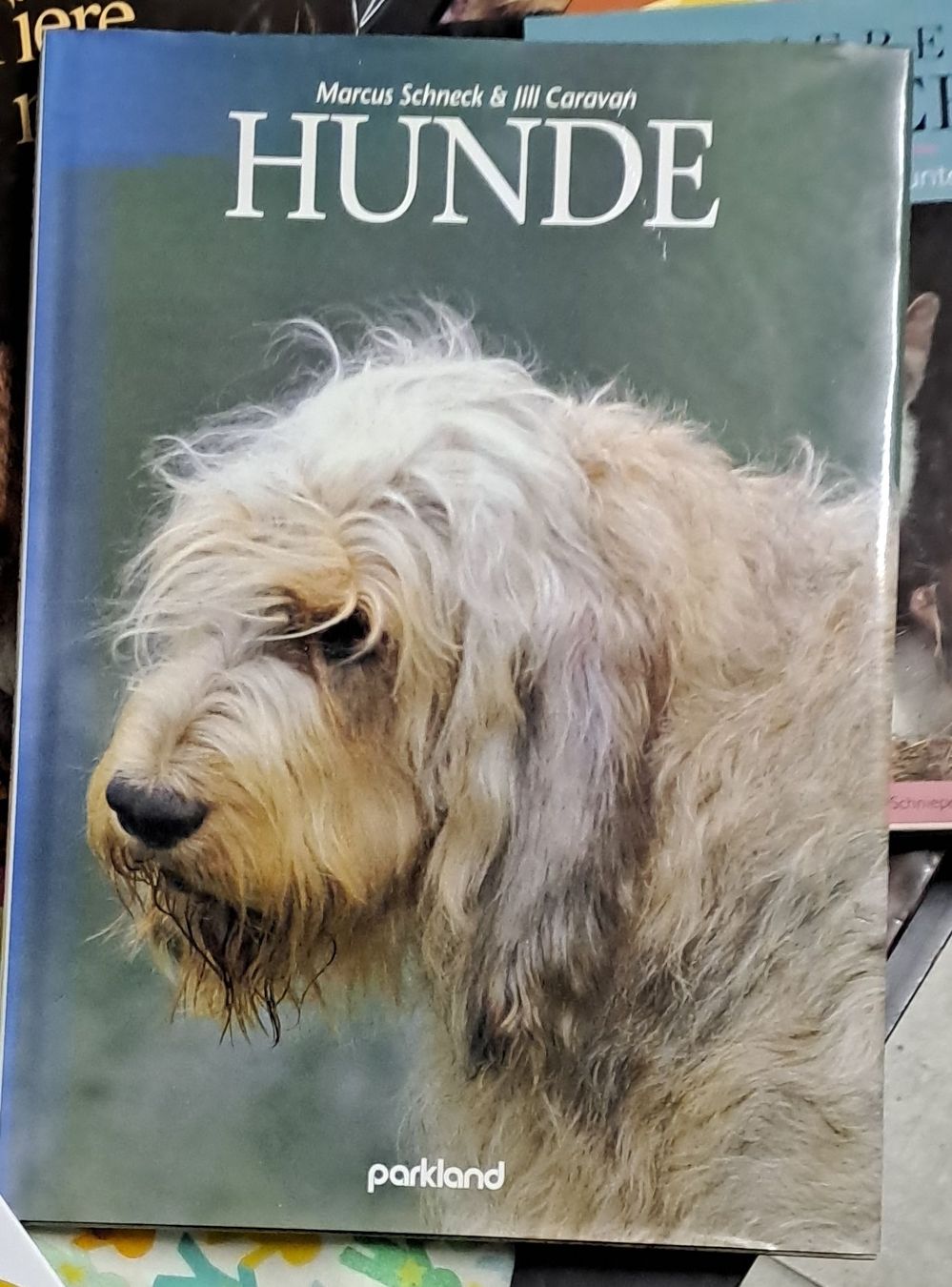 Libri: Hunde - Bildband von Marcus Schneck – Usato da Zürich venduto da Schoebi19