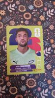 NZL 2 - PANINI - FIFA WM 2026