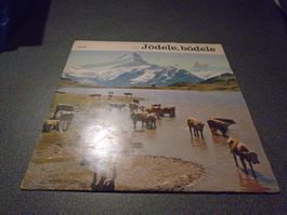 Schallplatte Jödele, bödele