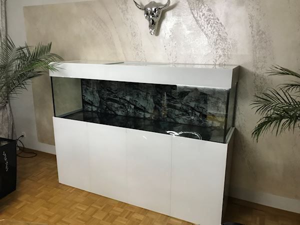 Acquari: Hochglanz Aquarium – Nuovo (secondo la descrizione) da Berikon venduto da fischundart 2