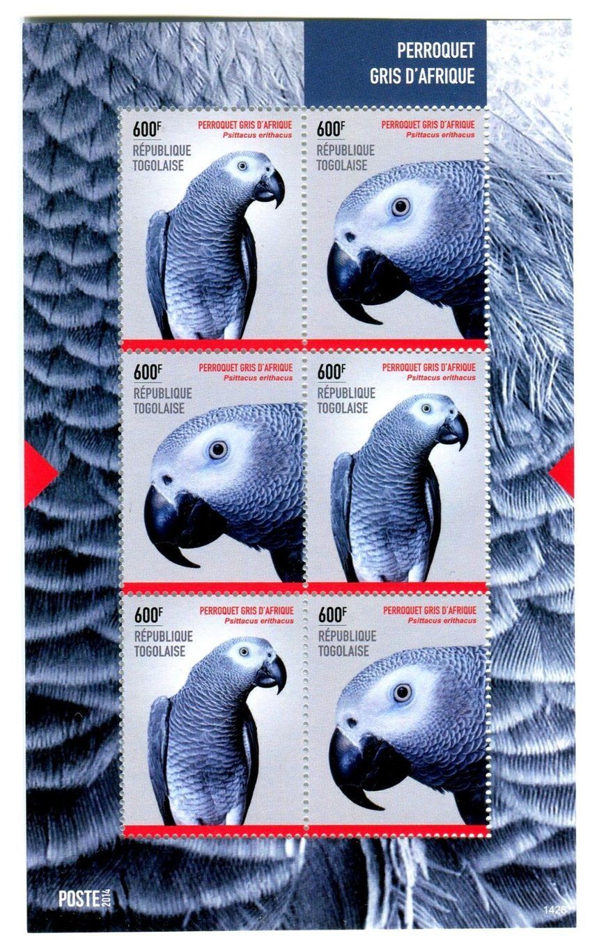 Alle Briefmarken: Block "Papageien". Togo. – Neu und originalverpackt aus Basel von Butsch5