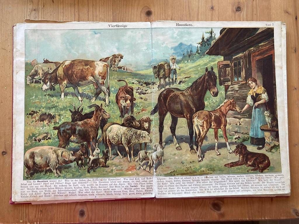 Bücher: Staubs Bilderbuch – Gebraucht aus Schwarzenbach SG von ernesto3.6 2