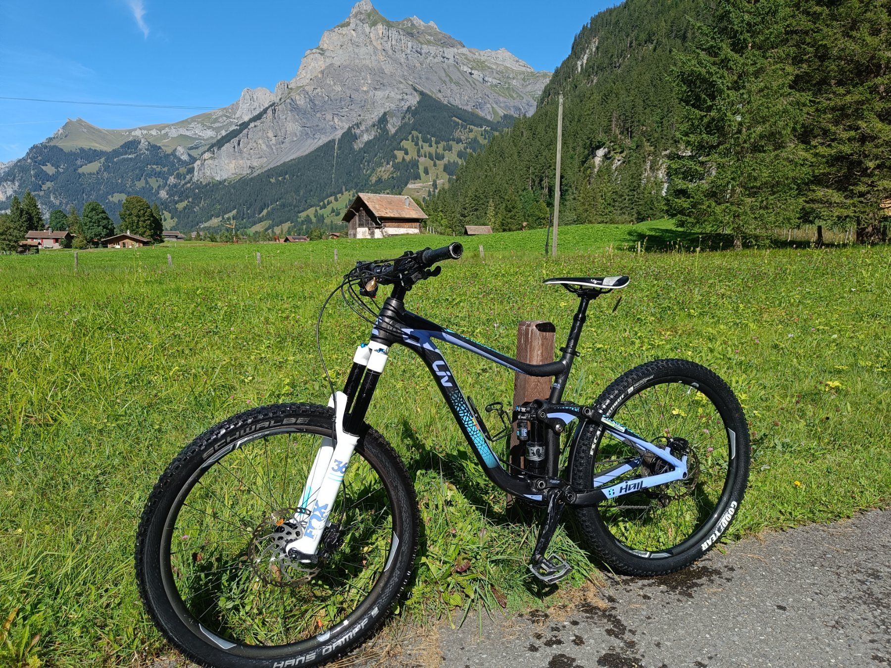 Liv Velos: Liv Fully Bike – Gebraucht aus Kandersteg von Anna0151 1