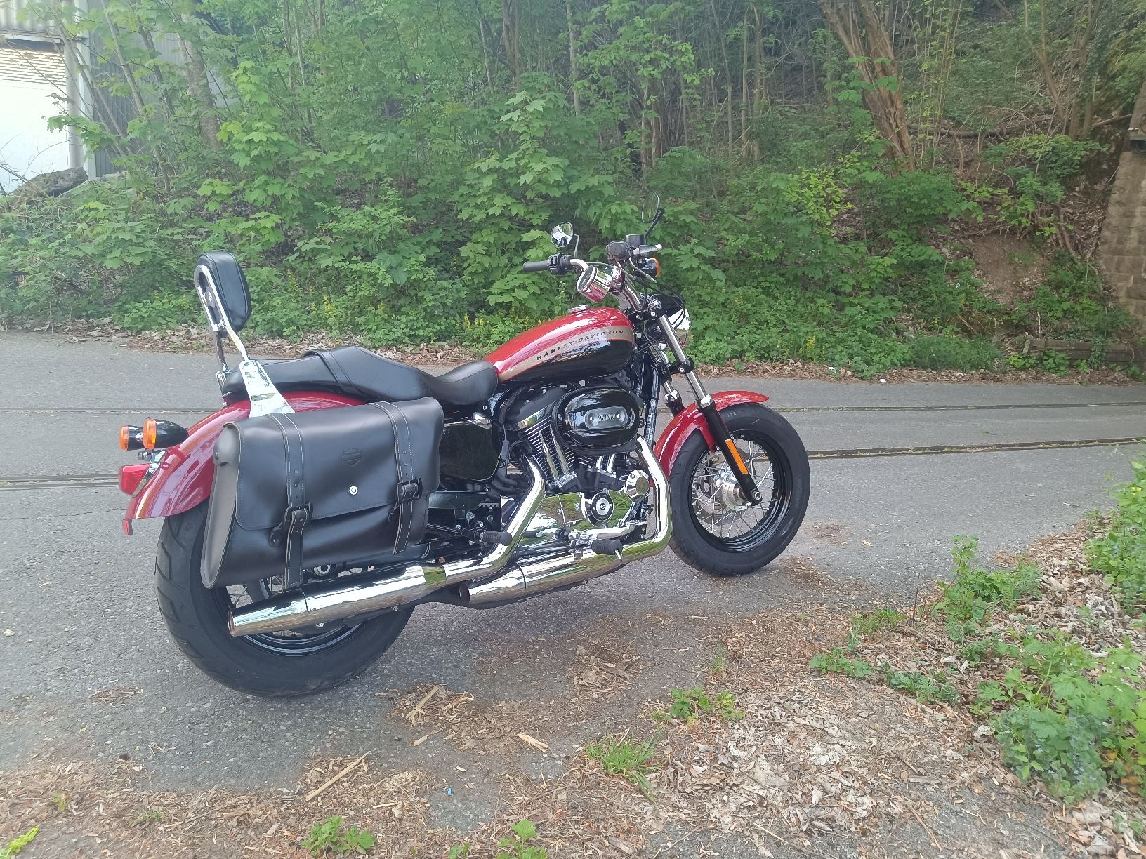 Harley-Davidson Chopper: Harley Davidson 1200 XL Sportster  – Usato da Lotzwil venduto da buk_d96k 3