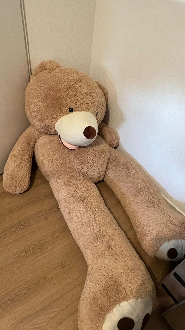 Giocattoli: Riesen Teddybär – Usato da Beringen venduto da Horsts_Garage