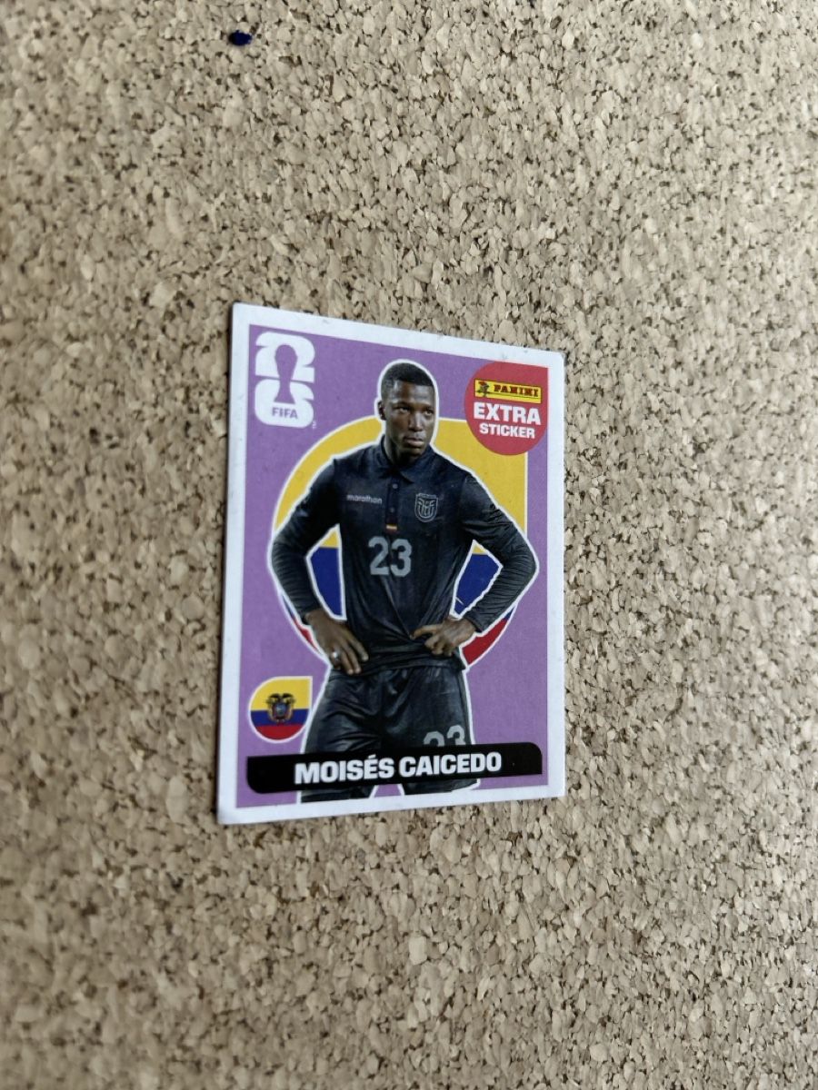 Panini Carte collezionabili: Panini 2026 Extra Sticker Caicedo – Usato da Stäfa venduto da mcfish78 1