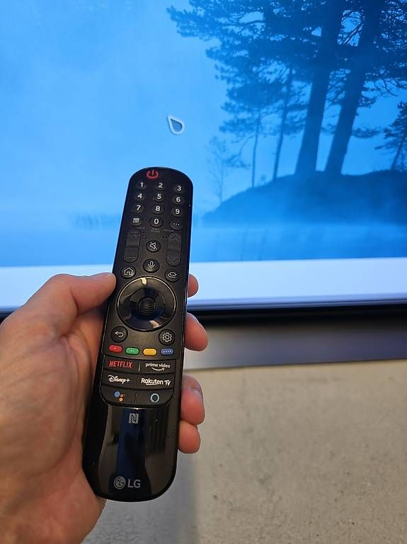 LG Appareils TV: LG OLED48C17LB – D'occasion à Freienbach par Fab24