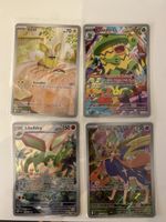 Pokemon Karten Sammlung Fatale Flammen illustration rare de