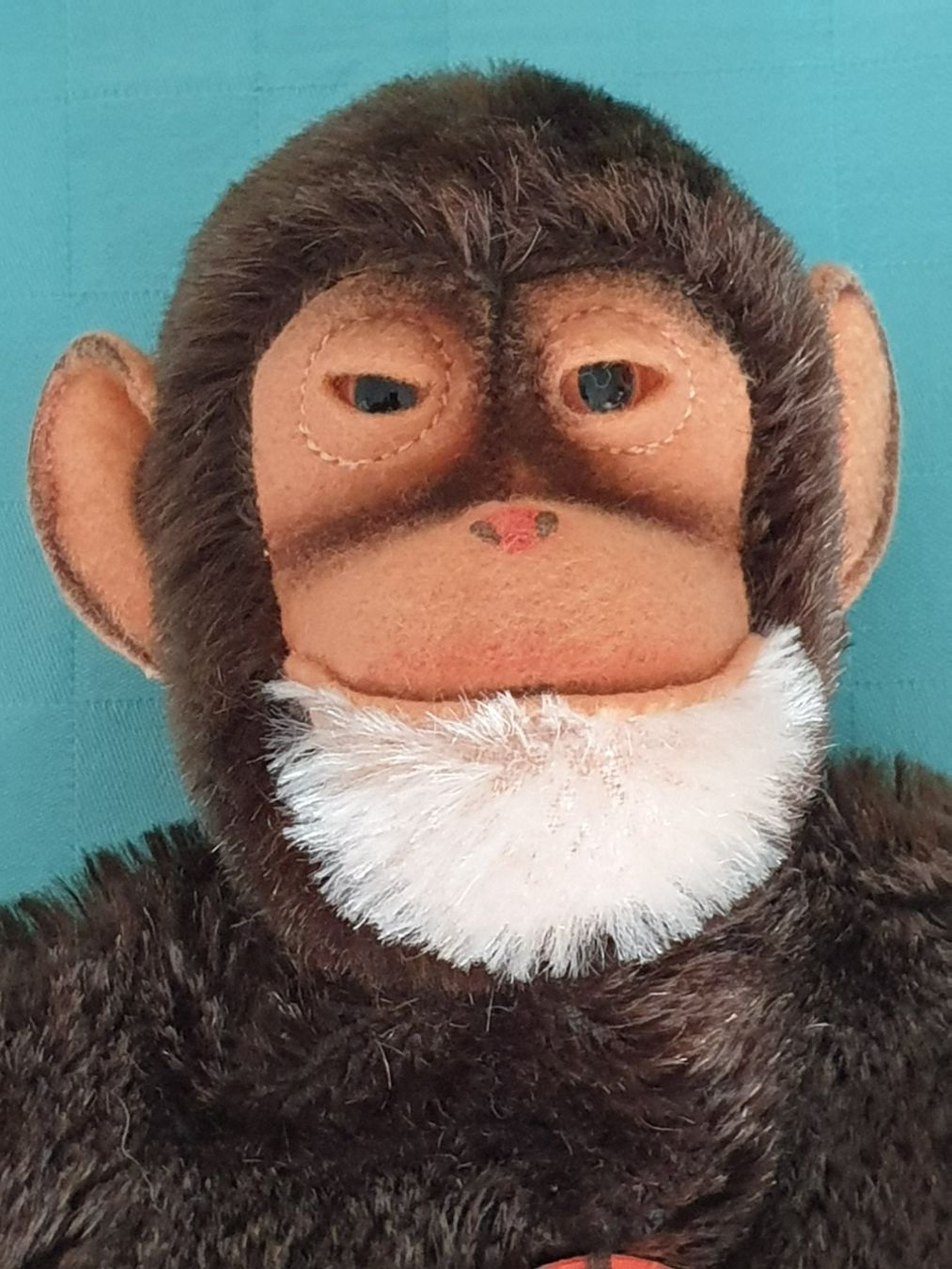 Statuette: Affe Handpuppe STEIFF – Usato da Mörschwil venduto da spirspi 2